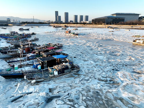 江蘇連云港強(qiáng)寒潮來(lái)襲，海岸現(xiàn)大面積冰凌奇觀