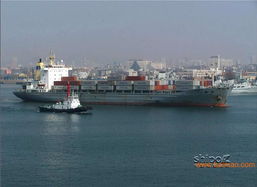 連云港進口報關(guān)行服務全解析